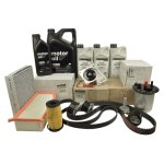 Pachet revizie motor complet (f polen CA) Logan MCV 2 - 1.5 dCi cu AdBlue ORIGINAL