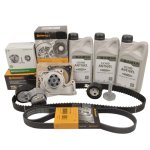 Pachet revizie motor cu antigel Logan 2 - 1.5 dCi CONTI - INA