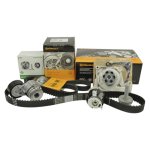 Pachet revizie motor Logan MCV 2 - 1.5 dCi cu AdBlue CONTI - INA