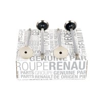 Set supape evacuare Sandero 1 - 1.5 dCi ORIGINAL
