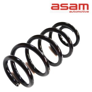 ARC SPATE (L=295MM; D=14.50MM) Logan MCV 1.5 dCi ASAM