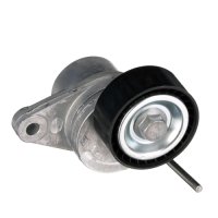 Rola intinzatoare accesorii Logan 1 - 1.6 mpi (cu Servo, cu AC, >2009) GATES