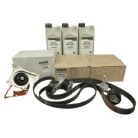 Pachet revizie motor (antigel) Sandero 2 - 1.5 dCi cu AdBlue ORIGINAL