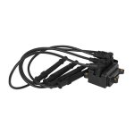 Bobina inductie cu fise bujii Logan MCV 2 - 1.2 16v BERU