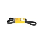 Curea accesorii Logan 1 - 1.4 mpi (cu Servo, cu AC,