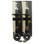 Pachet amortizoare spate cu flanse Duster 1 - 1.6 16v 4X4 PREMIERE