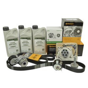 Pachet revizie motor cu antigel Sandero 2 - 1.5 dCi cu AdBlue CONTI - INA
