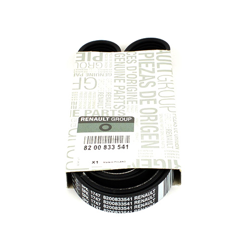 Curea accesorii Logan 1 - 1.4 mpi (cu Servo, cu AC,