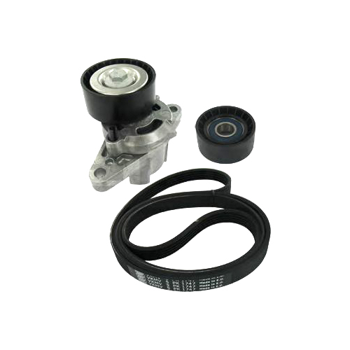Kit accesorii Logan 1 - 1.6 16v SKF - Apasa pe imagine pentru inchidere